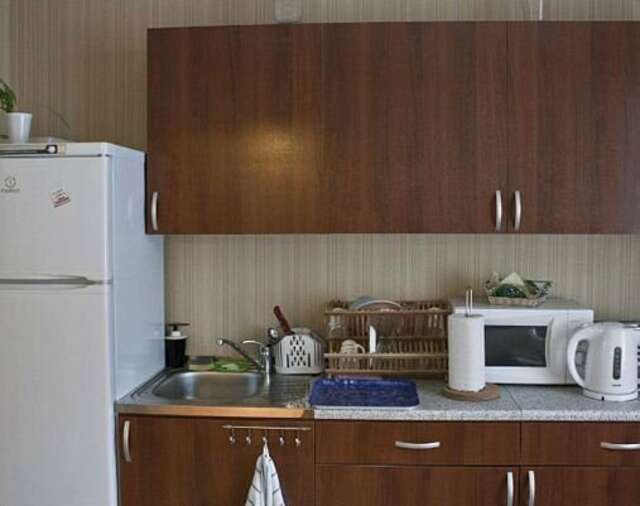 Гостевой дом Аполлон Санкт-Петербург-63